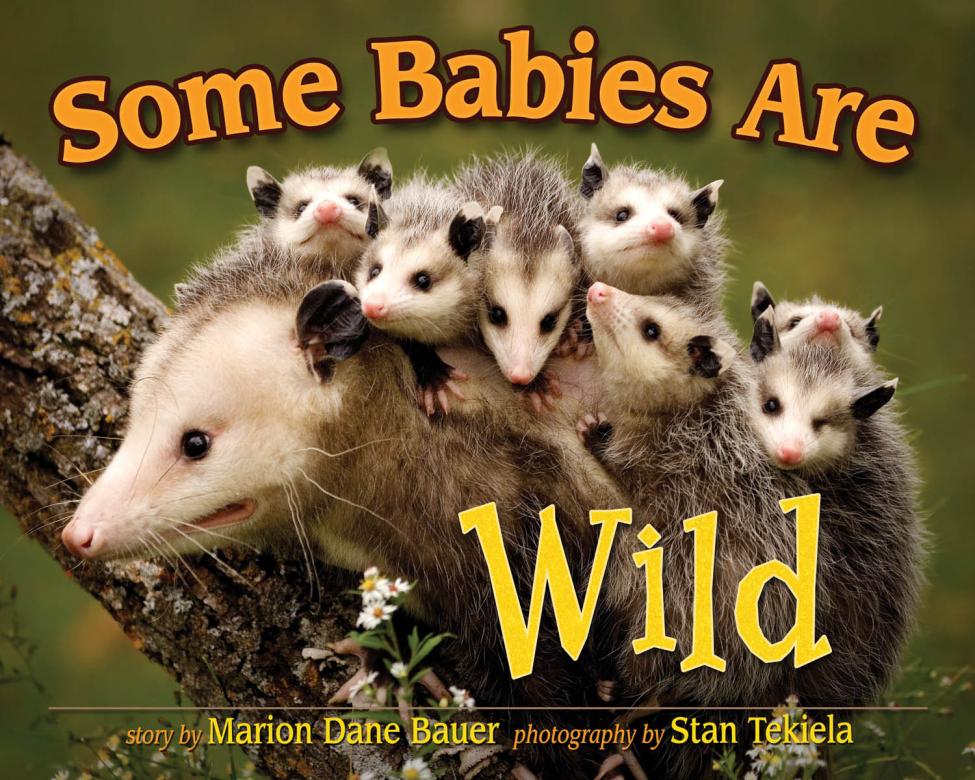 Some Babies Are Wild